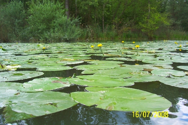 Bild 098.jpg - ---